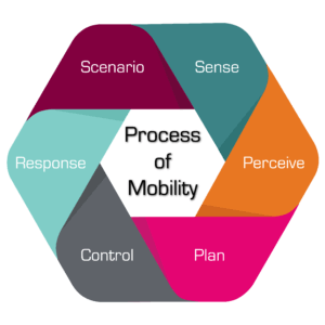 Process of Mobility